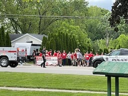 Watching A Parade | Life With Schnauzers