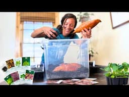 STRESS-FREE Seed Starting for an ABUNDANT Garden Harvest (+something new)