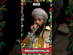 Protoge Live at Reggae Rotterdam Festival 2022 part 03