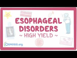 Esophageal disorders: Pathology review