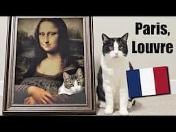 Cats Visit Louvre Museum To See Mona Lisa !!