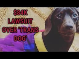 Gender Fluid Dachshund Debate Cost UK Tax Payers $84 THOUSAND DOLLARS.