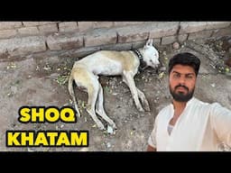 Shoq Khatam Hu Gaya | Rocky Is No More | Rocky Chala Gaya😰😰
