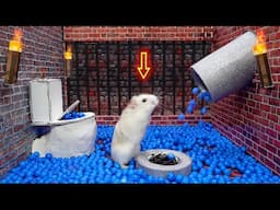 Hamster: The Last Airbender 🐹 Prison Escape