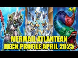 MERMAIL ATLANTEAN DECK PROFILE APRIL 2025 YUGIOH!