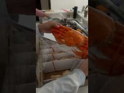 Ordered Crab from Rakuten #simplyhappy #crab #kingcrab #japancrab #rakutencrab