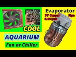 Cool Aquarium Water with Fan or Chiller | Cool Fish Tank in Summer | umair saeed | Urdu