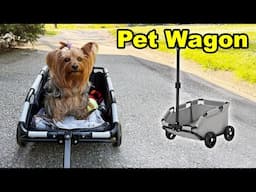 Small Wagon for Dogs