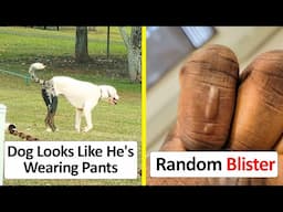Objects That Accidentally Looked Like Something Else