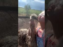 Baby Mara Noises + EMU KISSES