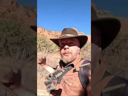 Palatki  Cliff dwelling ruins and pictographs