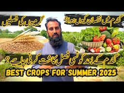 Wheat Farmers ALERT! Know Why 2025 Crop Failed and Next Profitable Crop to Grow!