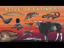 Are These 10  Animals Still Alive - or Already Extinct?