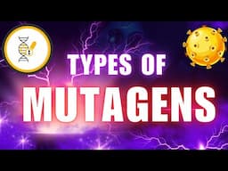 Physical, Chemical & Biological Mutagens | Types of Mutagens | Causes of mutations