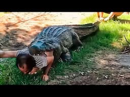 Incredible Safari Moments Caught on Camera!