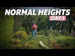 Day 1 in Normal Heights | Front & Backyard Succulent Landscape Installation