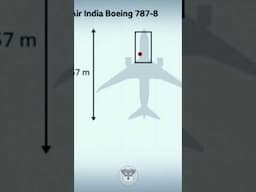SOBREVIVIENTE DE ACCIDENTE AEREO