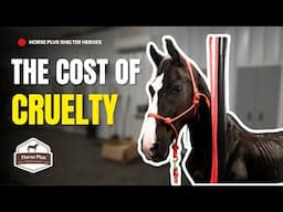 Horse Shelter Heroes - S6 E18