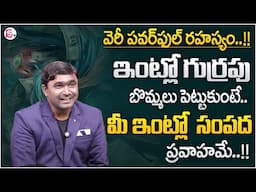 Viswam Vijay | LAW OF ATTRACTION COACH | Horse Figurines | MoneyManagement @SumantvDailyMoney