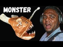 The Monster Fish That Visited Us "The Hidden Meaning"