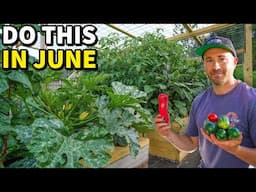 6 June Garden Tasks Every Gardener Must Do NOW!