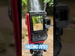 Persistence  #photography #cameras #microfourthids