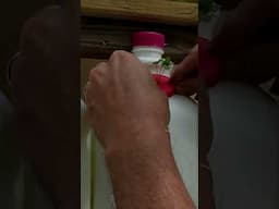 Our Home & Garden Show will be on Vidme