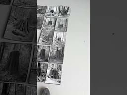 Editing the stump photos #8x10film #contactprint #darkroom #film #filmisnotdead