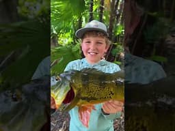 Caught Their First Peacock Bass!!