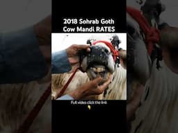 Cow mandi rates back then | Mandi vlog #cowmandi #cowmandi2025 #cowvideos #sohrabgothmandi #eid2025