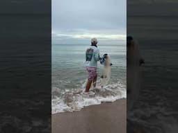 5 FT Cast Net Catches 100's of Fish! #SHORTS