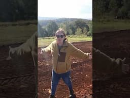 Preparing the Homestead for our Tiny Home [Australian Rural Living]