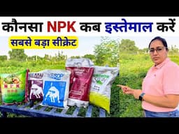 NPK Fertilizer | Water Soluble Fertilizer | npk 19 19 19 | npk 13 0 45 | npk 0 52 34 | npk12 61 00