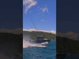 The Wasted Seamen - Stabicraft 2250 UCC, Full walkthrough coming Sunday 6:30pm @StabicraftNZ
