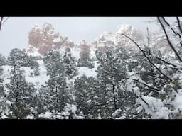 Snowy Sedona