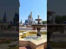This Week in Disney… 🏰🧚🎠