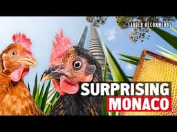 Surprising Monaco: Organic Farms, Rooftop Gardens, and Fresh Food with Jessica Sbaraglia