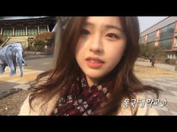 동국대생으로 사는 vlog