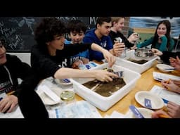 11th annual Science Festival kicks off today