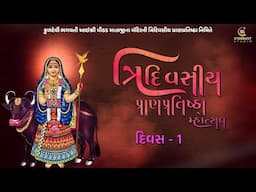 વસરા પરીવાર દ્વારા આયોજીત આઈશ્રી પીઠડ માતાજીના મંદિરની ત્રિદિવસીય પ્રાણ પ્રતિપ્રતિસ્ઠા મહોત્સવ
