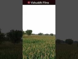 Did Ancient Indians preserve Environment? World Environment Day
