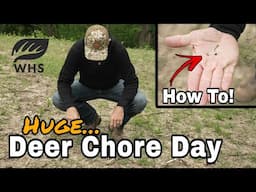 Giant Deer Hunting Chores Day