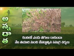 Early measures to prevent Wilt in redgram  | ETV Telugu