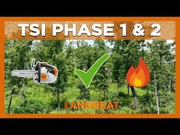Timber Stand Improvement Evaluation | Phase 1 & 2