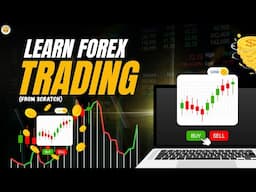 Beginner’s Guide to Trading: 10 Facts You MUST Know Before You Start!