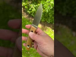 TRC Knives Classic Freedom 1/35 In M390! @trcknives #edc #trcknives #classicfreedom #beltknife #m390
