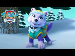 Everest's Mountain Rescue! - PAW Patrol Compilation - Cartoons for Kids