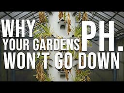 The Most Common Reason Hydroponic Gardens FAIL! Troubleshooting Tower Gardens and Ph. Problems