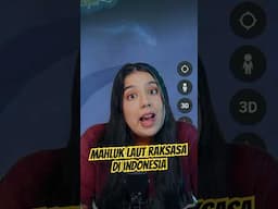 Penampakan Makhluk Laut RAKSASA di Pacitan?! Coba cek di titik koordinatnya, masih ada atau gak? 😰
