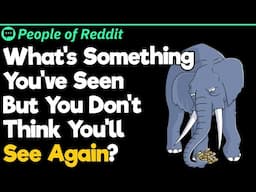 What's Something You've Seen But You Don't Think You'll See Again?